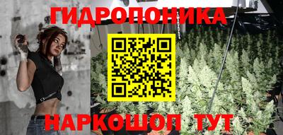 apvp Обнинск