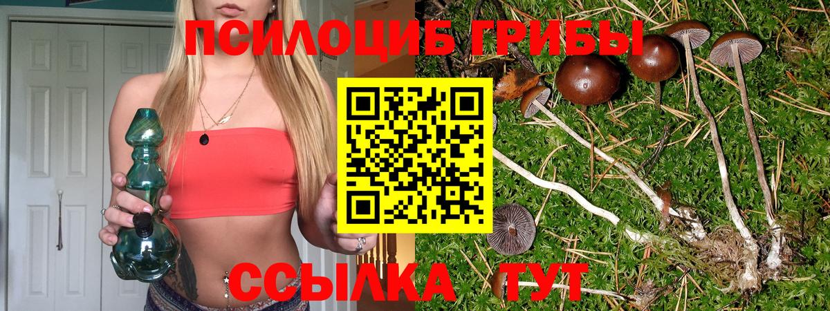Галлюциногенные грибы прущие грибы Саратов
