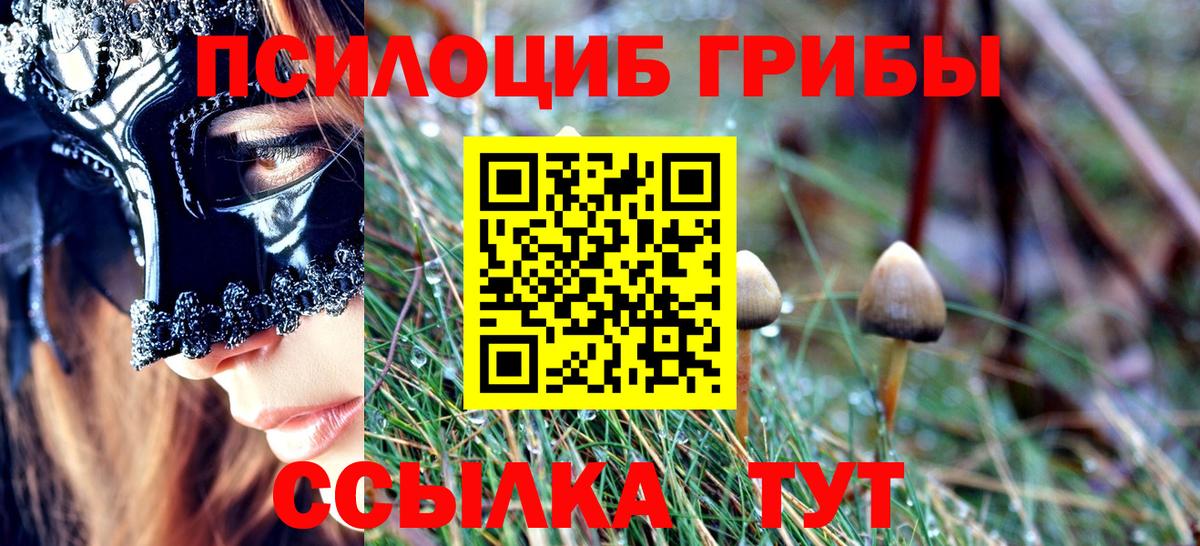 Галлюциногенные грибы GOLDEN TEACHER  Вход с VPN  Саратов 